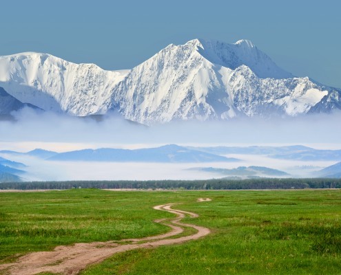 shutterstock_124398943