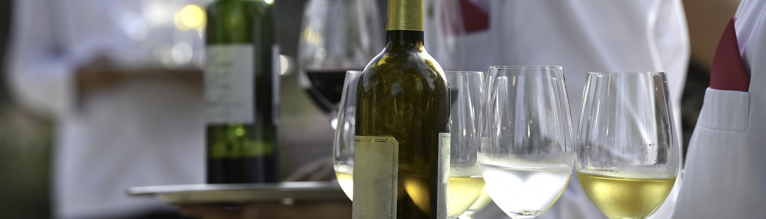 Diverse persoonlijkheden en kracht