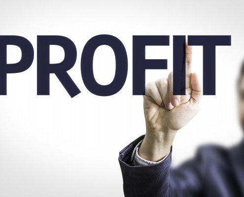 Turn passion into profits!